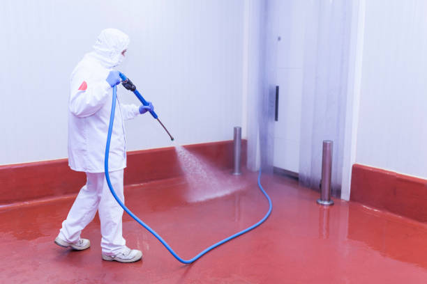 Reliable Columbia, CA Pressure Washing Services Solutions